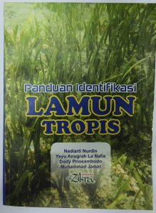 Panduan Identifikasi Lamun Tropis